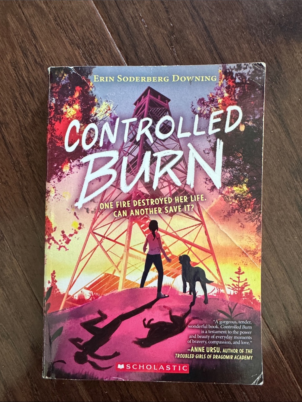 Scholastic — Pink, Orange & Yellow Illustrated Cover